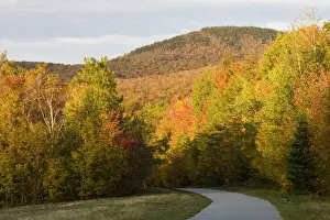 White Mountain Prints: Franconia Notch Bike Path in New Hampshires White Mountains