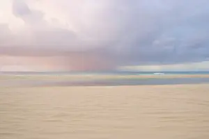 Images Dated 17th June 2004: Fraser Island, Australia. Fraser Island is the largest all sand island in the world