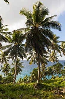 Images Dated 22nd November 2012: Fregate Island, Seychelles