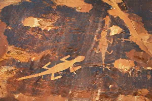 Fremont Prints: Fremont style lizard petroglyphs along Cub Creek, Dinosaur National Monument