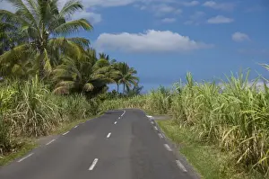 Images Dated 23rd December 2010: French Overseas territory (aka Francais d Outre Mer), Reunion Island