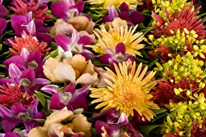 Images Dated 22nd August 2008: French Polynesia. Display of tropical native flowers