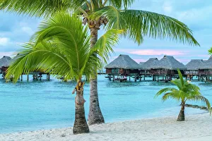 Images Dated 22nd September 2022: French Polynesia, Moorea. Overwater bungalows