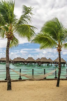 Images Dated 22nd September 2022: French Polynesia, Moorea. Overwater bungalows and hammock