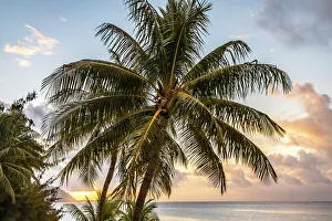 French Polynesia, Moorea. Sunset on island and ocean