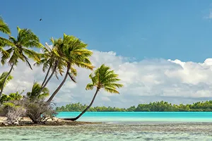 Aqua Prints: French Polynesia, Rangiroa Atoll