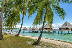Sailboat Prints: French Polynesia, Rangiroa Atoll