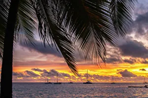 Images Dated 24th January 2024: French Polynesia, Rangiroa Atoll