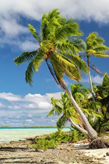 Aqua Prints: French Polynesia, Rangiroa Atoll