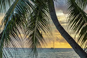 Images Dated 24th January 2024: French Polynesia, Rangiroa Atoll
