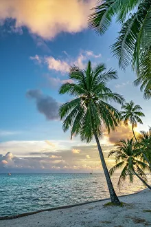 Images Dated 24th January 2024: French Polynesia, Rangiroa Atoll