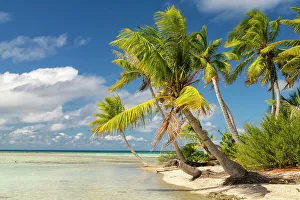 Images Dated 24th January 2024: French Polynesia, Rangiroa Atoll