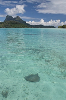 Images Dated 27th October 2014: French Polynesia, Society Islands, Leeward Islands, Bora Bora