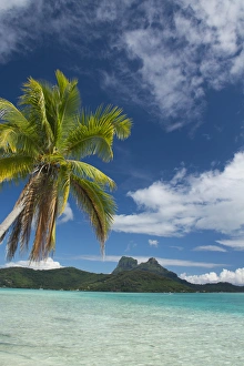 Images Dated 27th October 2014: French Polynesia, Society Islands, Leeward Islands, Bora Bora