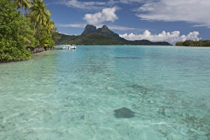 Images Dated 27th October 2014: French Polynesia, Society Islands, Leeward Islands, Bora Bora