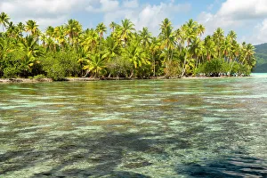 French Polynesia, Taha'a. Ocean corals and tropical forest