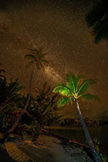 Images Dated 22nd September 2022: French Polynesia, Taha'a. Palm trees and night sky with Milky Way