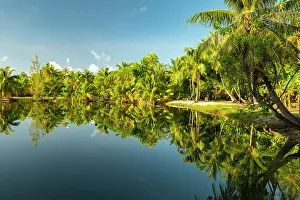 Images Dated 22nd September 2022: French Polynesia, Taha'a. Tropical jungle reflects in lagoon