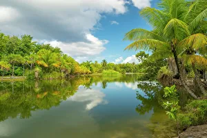 Images Dated 22nd September 2022: French Polynesia, Taha'a. Tropical jungle reflects in lagoon