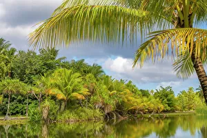 Images Dated 22nd September 2022: French Polynesia, Taha'a. Tropical lagoon and jungle