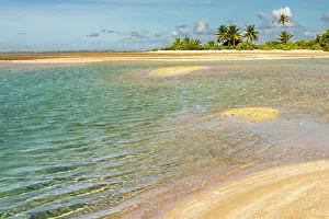 Images Dated 24th January 2024: French Polynesia, Tikehau Atoll