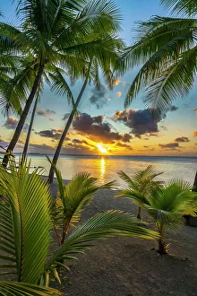 Images Dated 3rd August 2023: French Polynesia, Tikehau Atoll