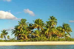 Images Dated 24th January 2024: French Polynesia, Tikehau Atoll