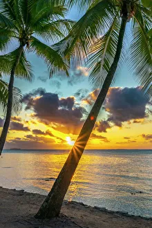 Starburst Prints: French Polynesia, Tikehau Atoll
