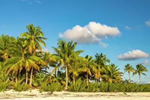 Images Dated 3rd August 2023: French Polynesia, Tikehau Atoll