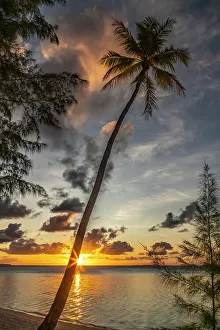 Images Dated 24th January 2024: French Polynesia, Tikehau Atoll