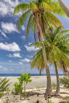 Images Dated 24th January 2024: French Polynesia, Tikehau Atoll
