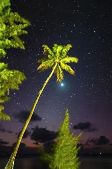 Star Prints: French Polynesia, Tikehau Atoll