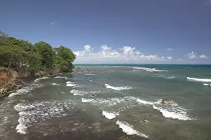 FRENCH WEST INDIES (FWI)-Guadaloupe-Basse-Terre-SAINTE-ANNE: Plage de Roseau /