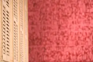 FRENCH WEST INDIES (FWI)-Guadaloupe-Grande-Terre-POINTE-A-PITRE: Detail: Musee