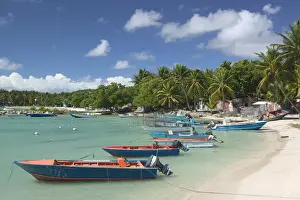 FRENCH WEST INDIES (FWI)-Guadaloupe-Grande-Terre-SAINTE-ANNE: Caravelle Beach-Fishing