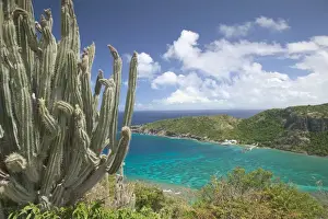 FRENCH WEST INDIES (FWI)-Guadaloupe-Les-Saintes Islands-TERRE-DE-HAUT