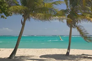 People In The Background Prints: French West Indies, Guadaloupe, Marie, Galante Island, CAPESTERRE: Windsurfer