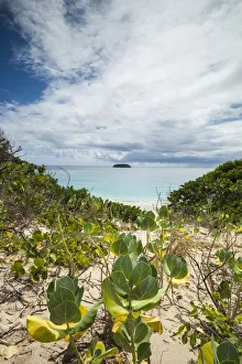 Images Dated 27th January 2017: French West Indies, St-Barthelemy. Anse de Grande Saline beach