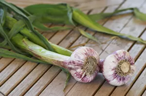 Two fresh garlic on a wooden teak table, withe and violet bulbs and green stem Clos