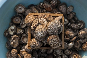 South Korea Prints: Fresh mushrooms for sale, Beopjusa Temple Complex, South Korea