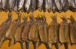 Fresh Omar fish at Listvyanka in Lake Baikal near Irkutsk in Siberia Russia