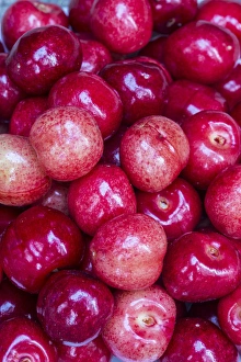 Whitefish Prints: Fresh picked cherries in Whitefish, Montana, USA
