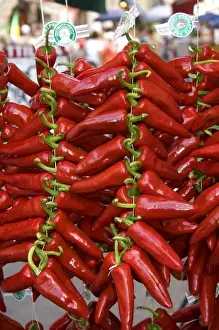Basque Prints: Fresh piquillo peppers for sale in the town of Saint-Jean-de-Luz, Pyrenees-Atlantiques