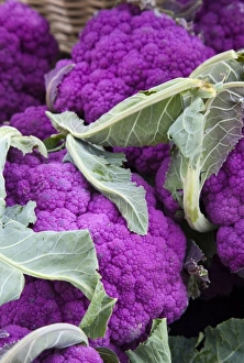 Images Dated 18th August 2009: Fresh produce at the Farmers Market in Whitefish, Montana