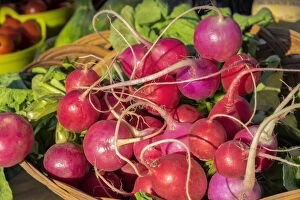 Fresh radishes at farmers market, USA