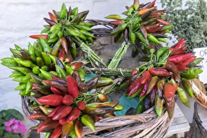 Bunch Prints: Fresh red and green peppers for sale, Alberobello, Italy, Europe