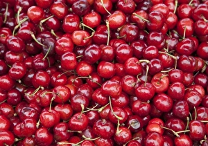 Shiny Prints: Fresh ripe cherries on display at market