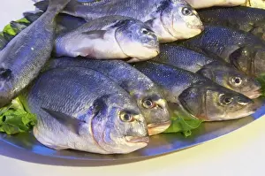 Hercegovina Prints: Fresh river fish presented to restaurant guests before cooking, Restaurant Restoran Rond