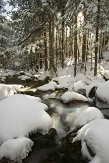 Brook Prints: Fresh snow covers the rocks in Wonalancet Brook in New Hampshires White Mountain