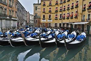 Italian Culture Prints: Fresh snow on Gondolas along the canals of Venice, Italy